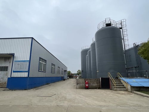 新硅科技 以創新驅動市場，產銷兩旺引領化工產業升級